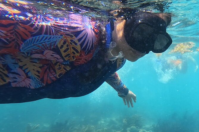 1.5 hours Snorkeling at Tulum's paradise reef - Entering the reef with a guide