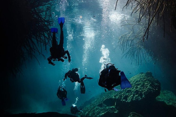 2 cenote divings (including one deep diving) for advanced divers in Tulum - Equipment, transport, and what the price covers