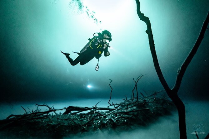 2 cenote divings (including one deep diving) for advanced divers in Tulum - Dos Ojos: limestone, light beams, and the bat cave