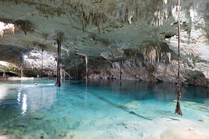 2 Cenotes Private Tour – VIP Adventure with Expert Guide - Is $185 per person a fair price?