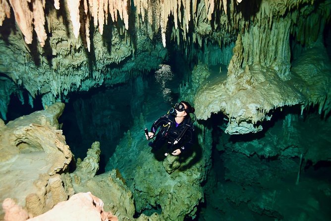 2 dives in Cenote Dos ojos Certified Divers - Meeting at Agua Clara Diving in Tulum