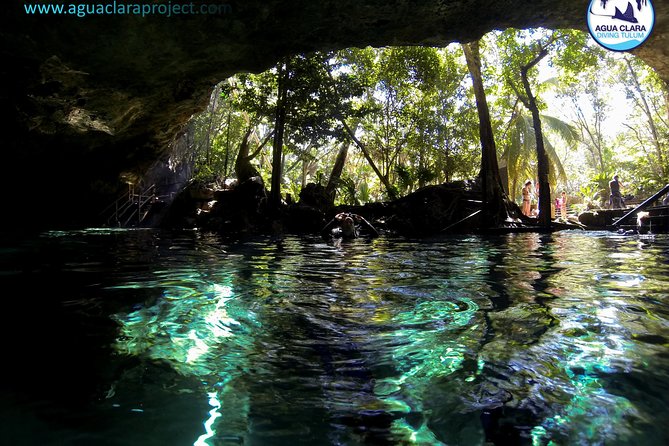2 dives in Cenote Dos ojos Certified Divers - The first session at Cenote Dos Ojos