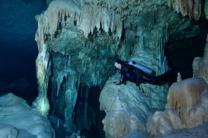 2 dives in Cenote Dos ojos Certified Divers - The surface break with snacks and lunch