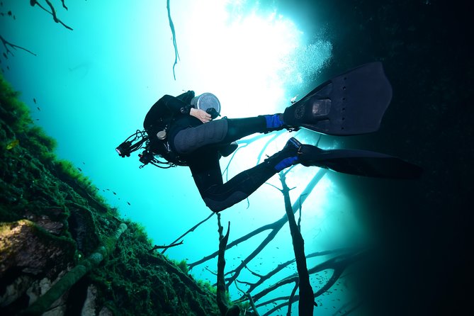 2 dives in Cenote Dos ojos Certified Divers - What the $200 price includes, and what it does not