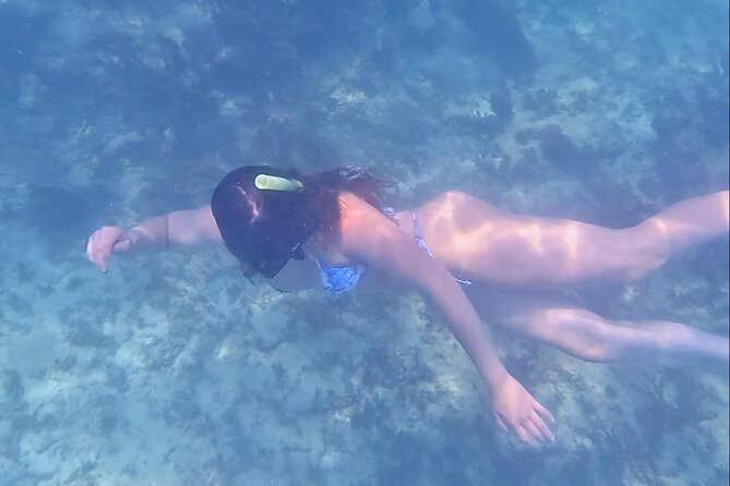 2-Hour Snorkeling in Two Spots of Tulum's Reef - Group size and the feel of the outing