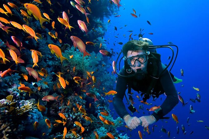 2 Tank Dive in Cozumel - Aqua Excursions and the role of the crew