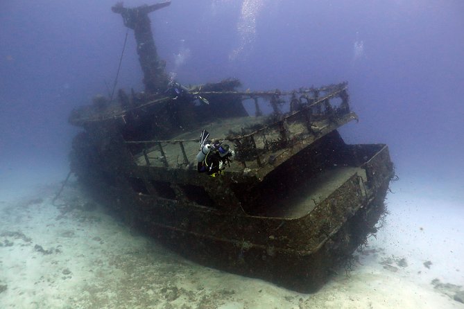 2-Tank Morning or Afternoon Dives in Playa del Carmen certified Divers Only - The second site adds variety