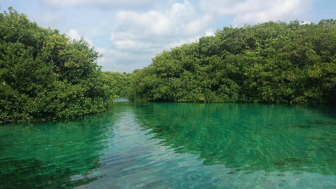 2 tanks Cenote Diving Adventure in Tulum for Certified Divers - Key points at a glance