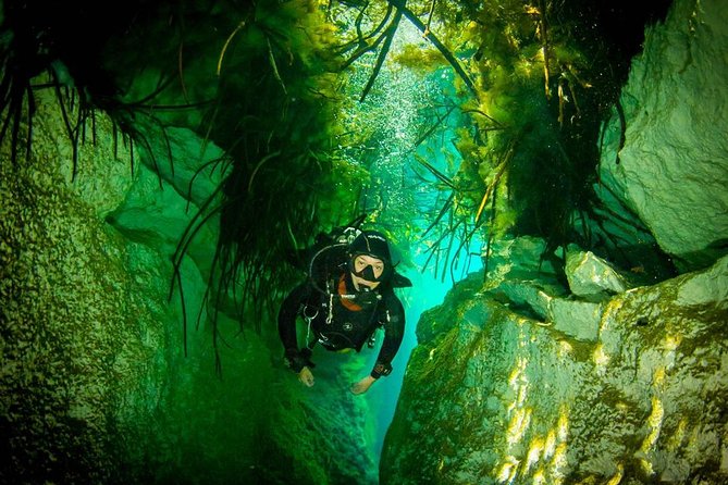2 tanks Cenote Diving Adventure in Tulum for Certified Divers - Dos Ojos: limestone, light, and a bat cave