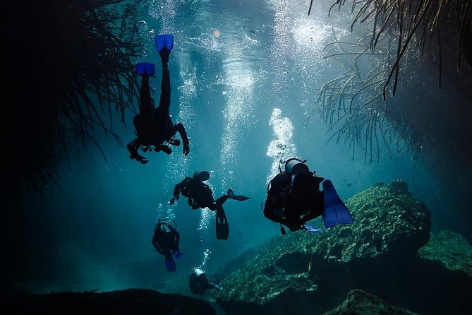 2 tanks Cenote Diving Adventure in Tulum for Certified Divers - What the small group changes