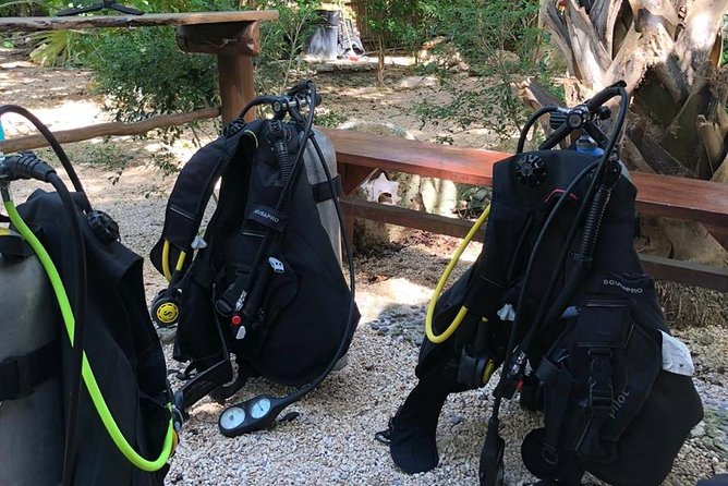 2 tanks Cenote Diving Adventure in Tulum for Certified Divers - Is the $200 price fair?