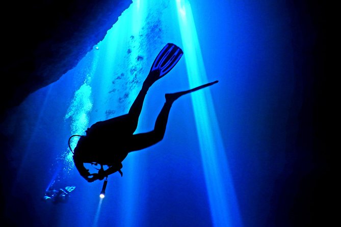 2 tanks Cenote Diving Adventure in Tulum for Certified Divers - Who should book this outing?