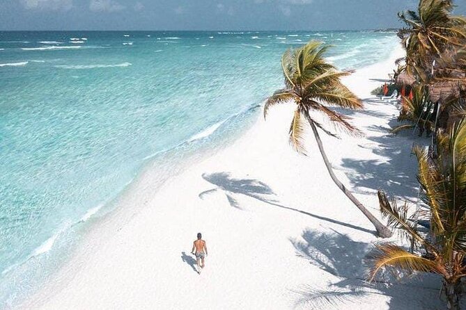 2x1 Tour: Isla Contoy, Isla Mujeres, Open Bar, Lunch and Transfers - Reef snorkeling in the Mesoamerican Reef