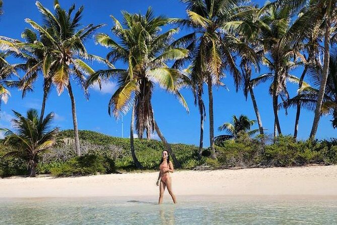 2x1 Tour: Isla Contoy, Isla Mujeres, Open Bar, Lunch and Transfers - Open bar, lunch, and the practical value of the price