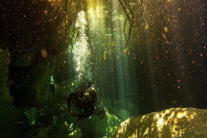 3 Cenote Dives - Casa & Dos Ojos - What the guide and small group add