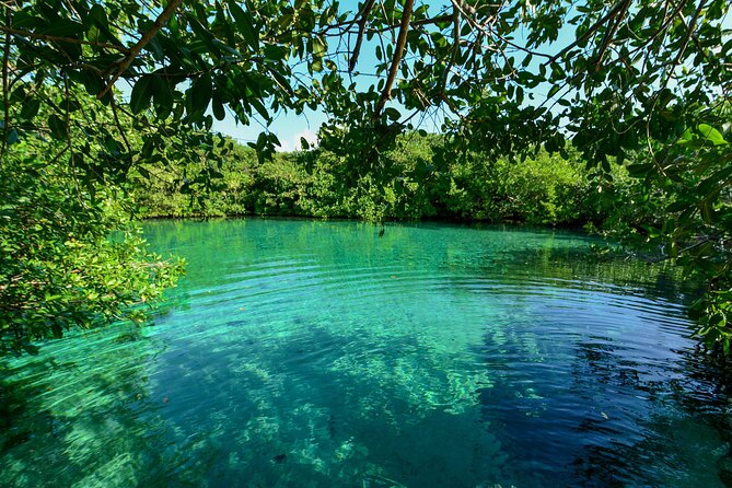 3 Cenote Dives - Casa & Dos Ojos - Breakfast, lunch, snacks, and the practical value