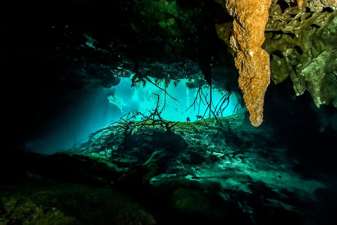 3 Cenote Dives - Casa & Dos Ojos - Who should book this experience?