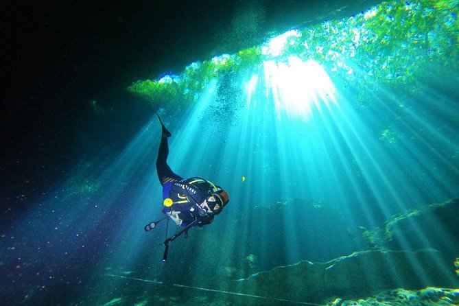 3 days diving in cenotes for certified divers - Why cenotes make this three-day tour special