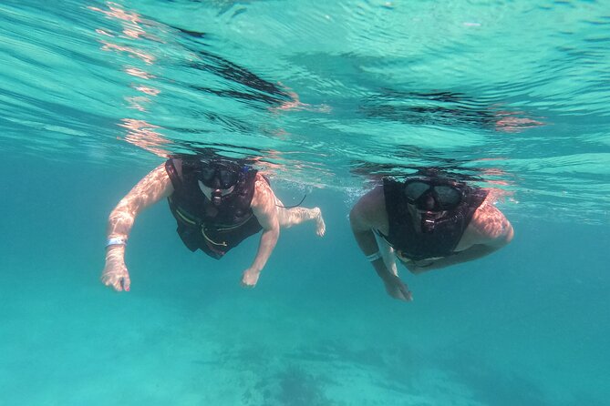 3 in 1 Private Tour Tulum Cenote and Snorkeling in the reef - Reef snorkeling with patient instruction