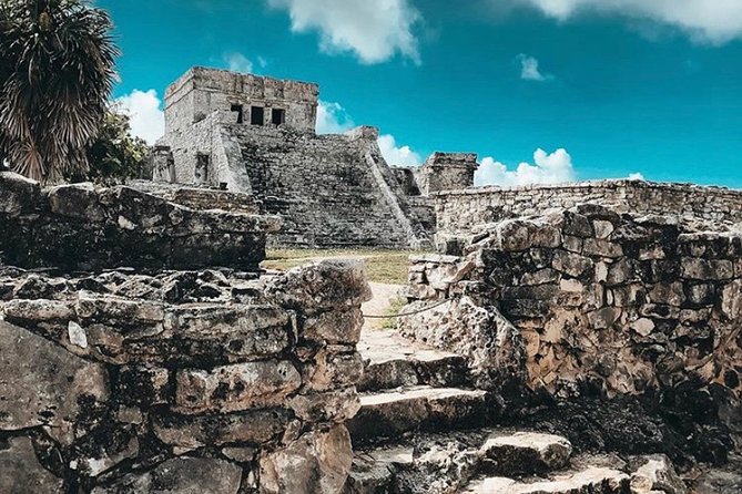 4 amazing places for 1 price and 1 full day tour Tulum, Coba, Cenote and PDC - Coba and Nohoch Muul Among the Trees
