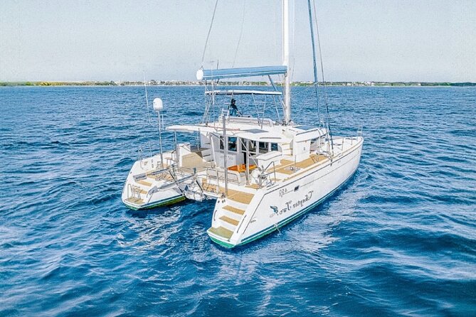 4 Hours Exclusive 45' Lagoon Catamaran Experience - What you can see in the water