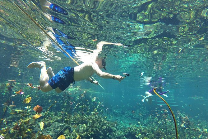 4 Private Cenotes, Zip-Lines, Canoes & Mayan Village with Delicious Lunch - Mosquitoes, weather, and what to pack