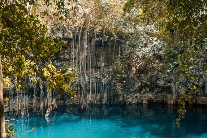 4x1 Explore TULUM Coba, Cenote and Mas, with transportation + Lunch. - Is $104.53 a fair price?
