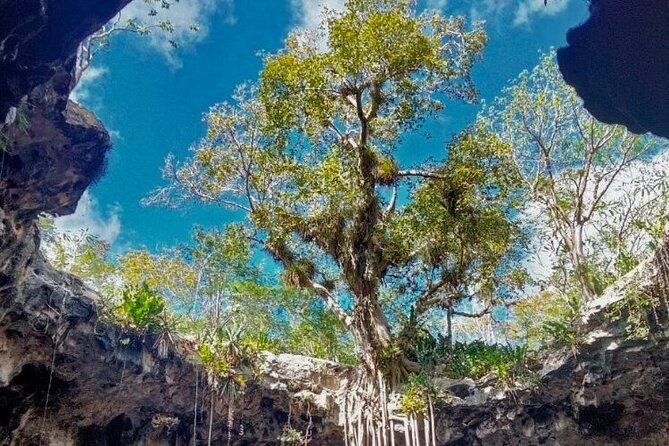 5-Day Riviera Maya and Yucatan Tour, Mexico - Day four: Chichen Itza, Oxman Cenote, and Valladolid