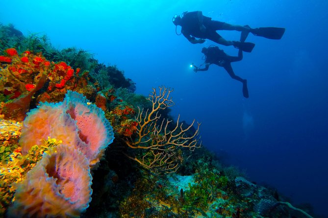 Advanced Open Water Diver course PADI in Playa del Carmen - The instructors and the feel of the teaching