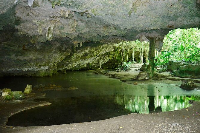 Adventure in ATV, Cenote swimming, snack & transportation - The ride back, snack, and practical finish