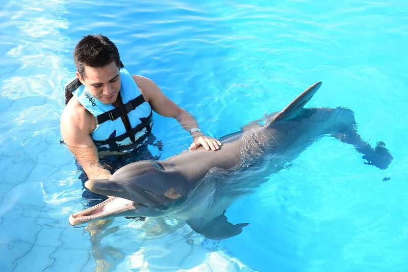 Akumal: Dolphin Encounter - The guide makes a real difference
