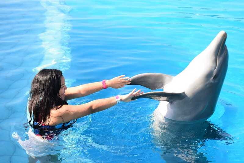 Akumal: Dolphin Encounter - Who will enjoy this most