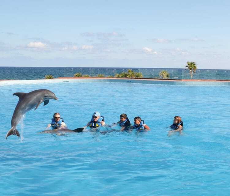 Akumal: Dolphin Encounter - Should you book the Akumal Dolphin Encounter?