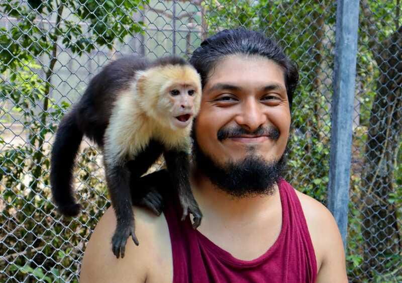 Akumal: Explore the Monkey Sanctuary, ATV Circuit and Cenote - Meeting rescued animals at Akumal Monkey Sanctuary