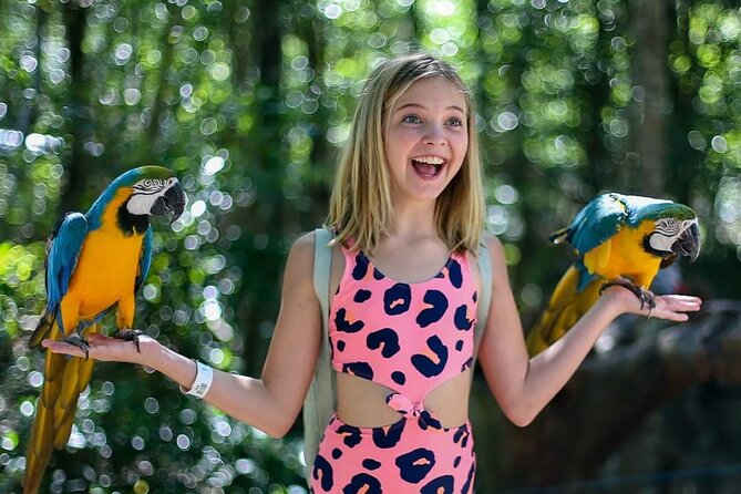 Akumal Monkey Sanctuary - The Monkey Bonding Encounter