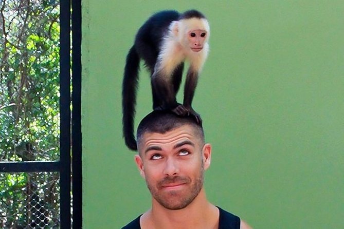 Akumal Monkey Sanctuary - Why the Guides Matter So Much