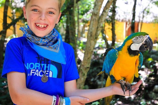 Akumal Monkey Sanctuary - Getting There Without a Surprise
