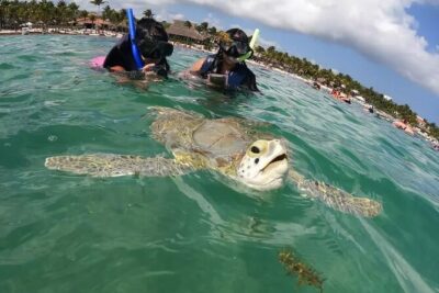 Akumal : Snorkeling with Green Turtles + Photos with GoPro