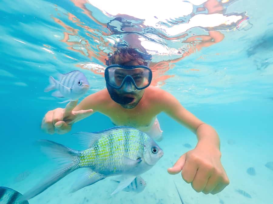 Akumal: Swim with Turtles in a Natural Paradise - Meeting at Oxxo Mar Azul
