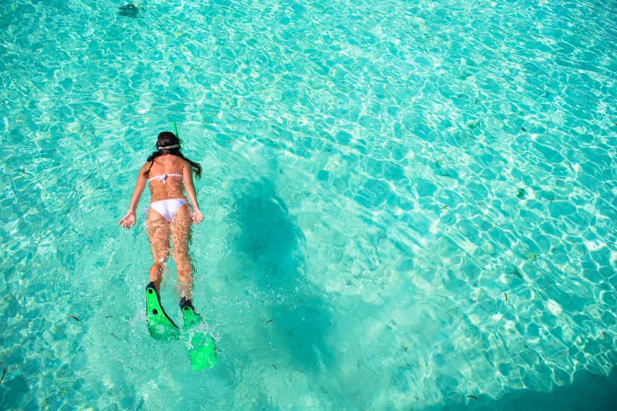 Akumal: Swim with Turtles in a Natural Paradise - A short tour with time to stay on the beach