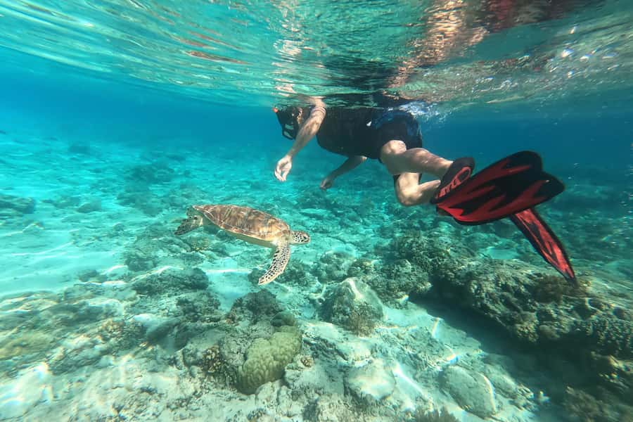 Akumal: Swim with Turtles in a Natural Paradise - Is $54 a fair price?