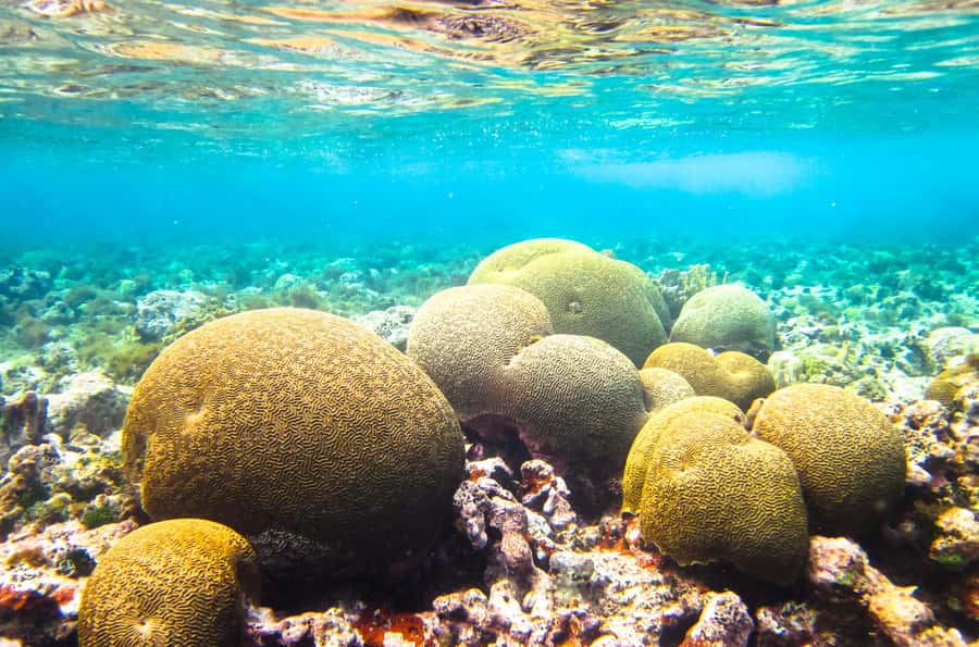 Akumal: Swim with Turtles in a Natural Paradise - Practical packing advice for Akumal