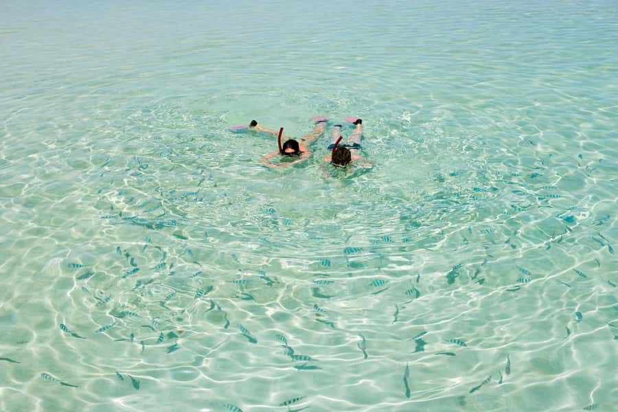 Akumal: Swim with Turtles in a Natural Paradise - FAQ