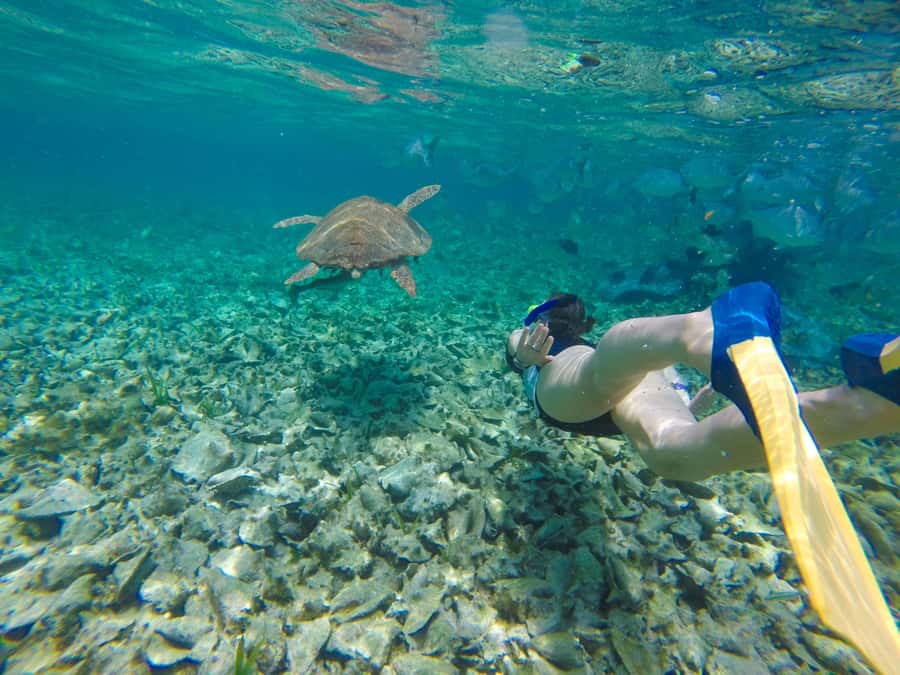 Akumal: Swim with Turtles in a Natural Paradise - Entering Tsúuk Akumal Natural Park