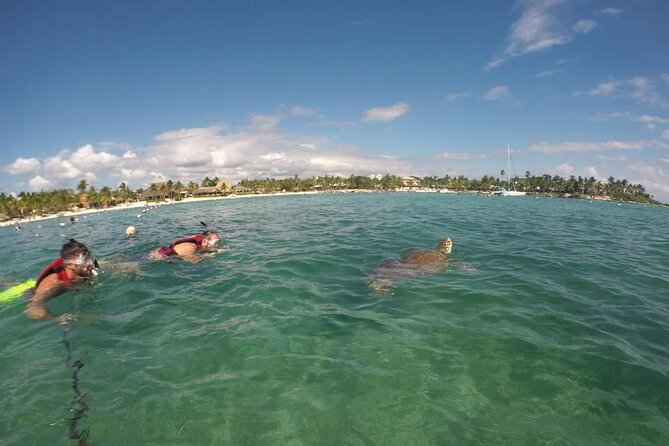 Akumal turtles sanctuary and go pro photos - What you may see beneath the buoys