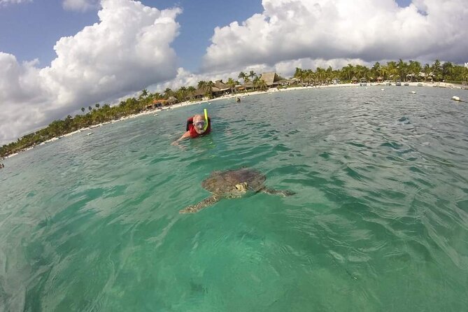 Akumal turtles sanctuary and go pro photos - Guides who make a difference
