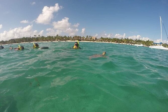 Akumal turtles sanctuary and go pro photos - Small groups, private bookings, and the morning advantage