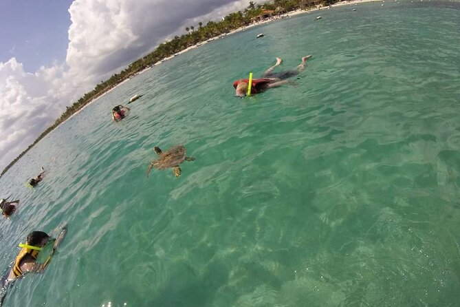 Akumal turtles sanctuary and go pro photos - Who will enjoy this Akumal tour most