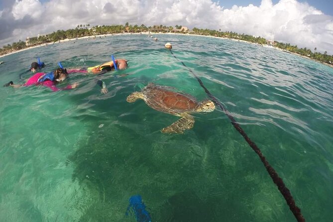 Akumal turtles sanctuary and go pro photos - Booking details and cancellation rules