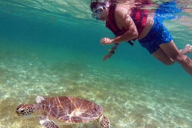Akumal Turtles Snorkeling and GoPro pictures - Practical preparation for the Akumal meeting point